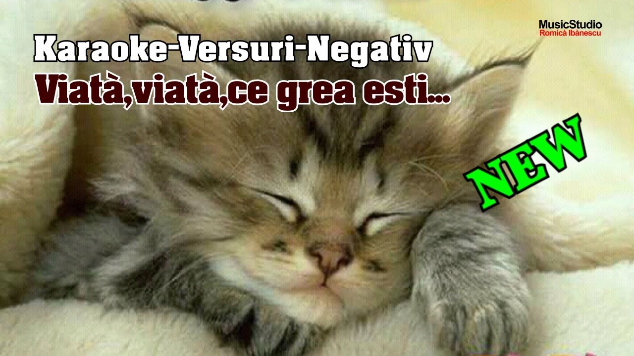 Karaoke - Viață,viață,ce grea ești - Versuri - Negativ