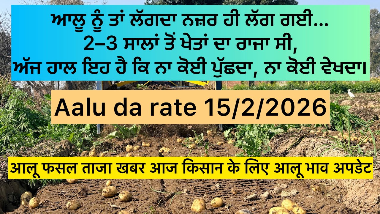 ਆਲੂ ਨੂੰ ਤਾਂ ਲੱਗਦਾ ਨਜ਼ਰ ਹੀ ਲੱਗ ਗਈ | आलू का भाव आज मंडी | Aalu Rate Today 15/2/2026