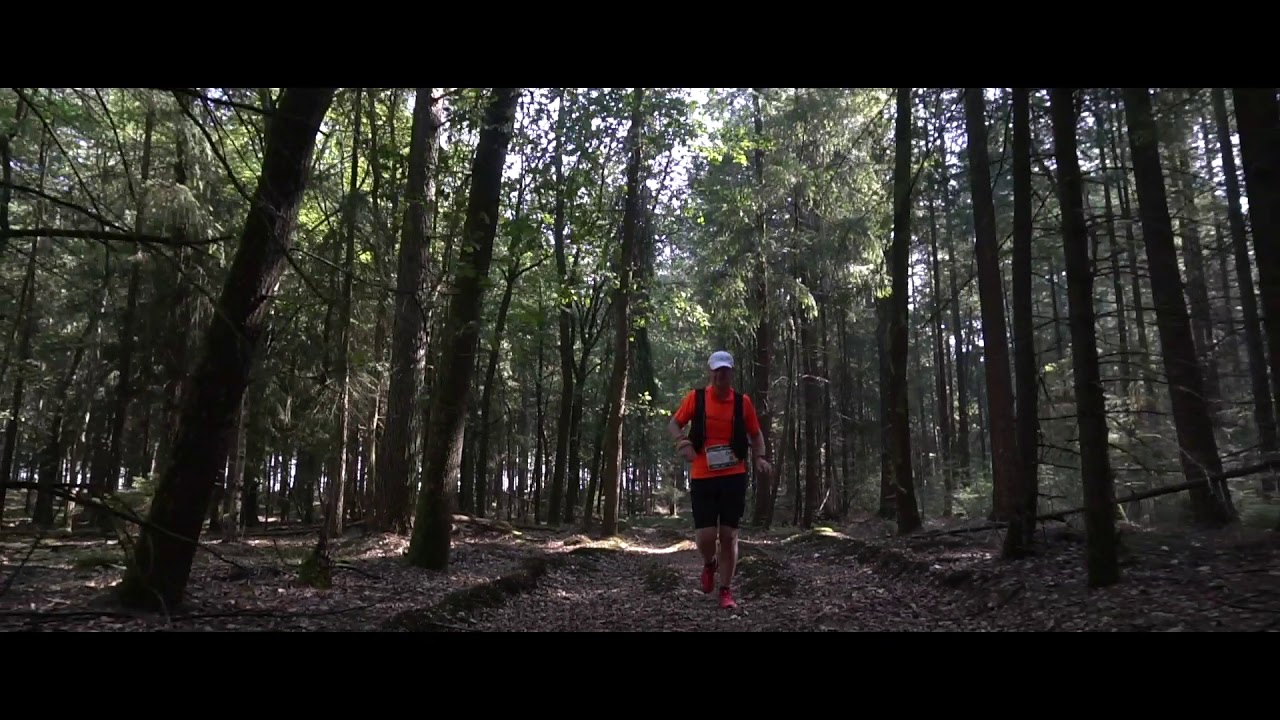 RUNFORESTRUN Hondsrug