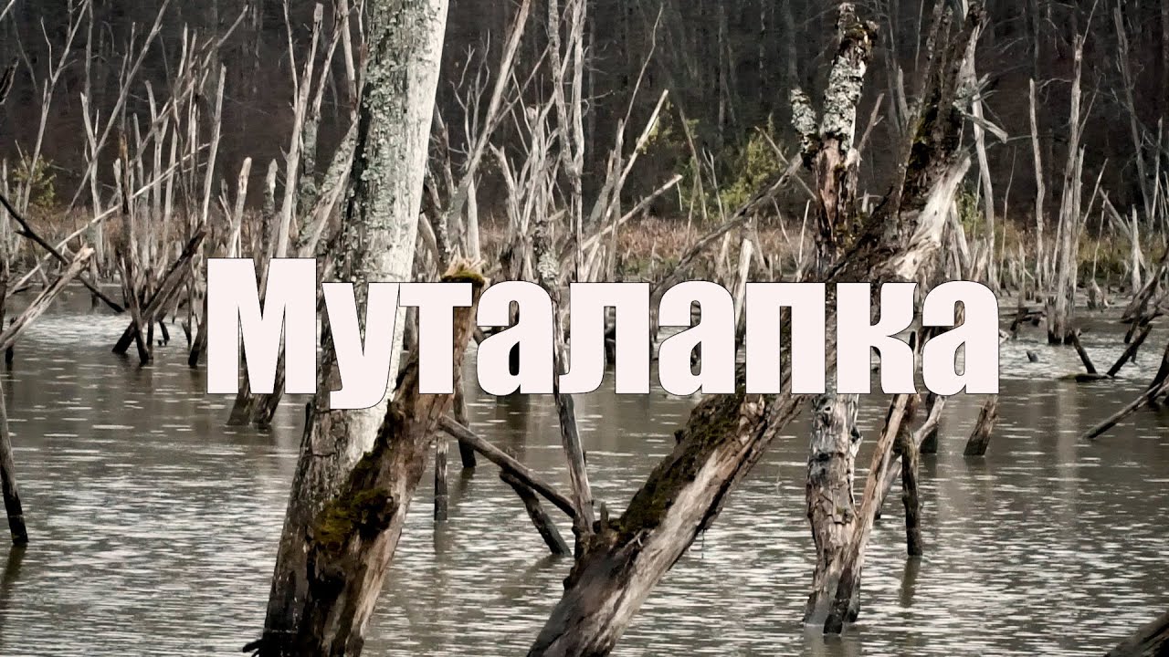 Муталапка