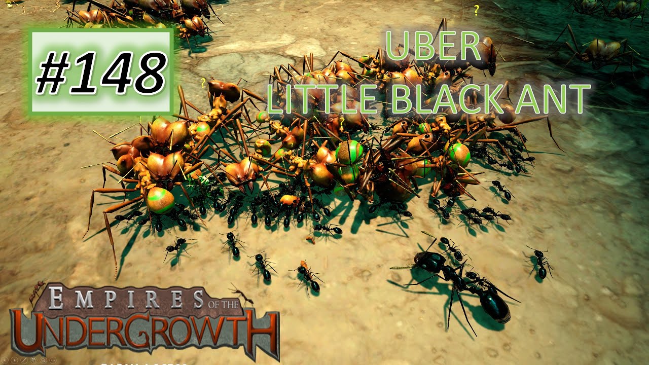 Empires of the Undergrowth #148: UBER LITTLE BLACK ANT