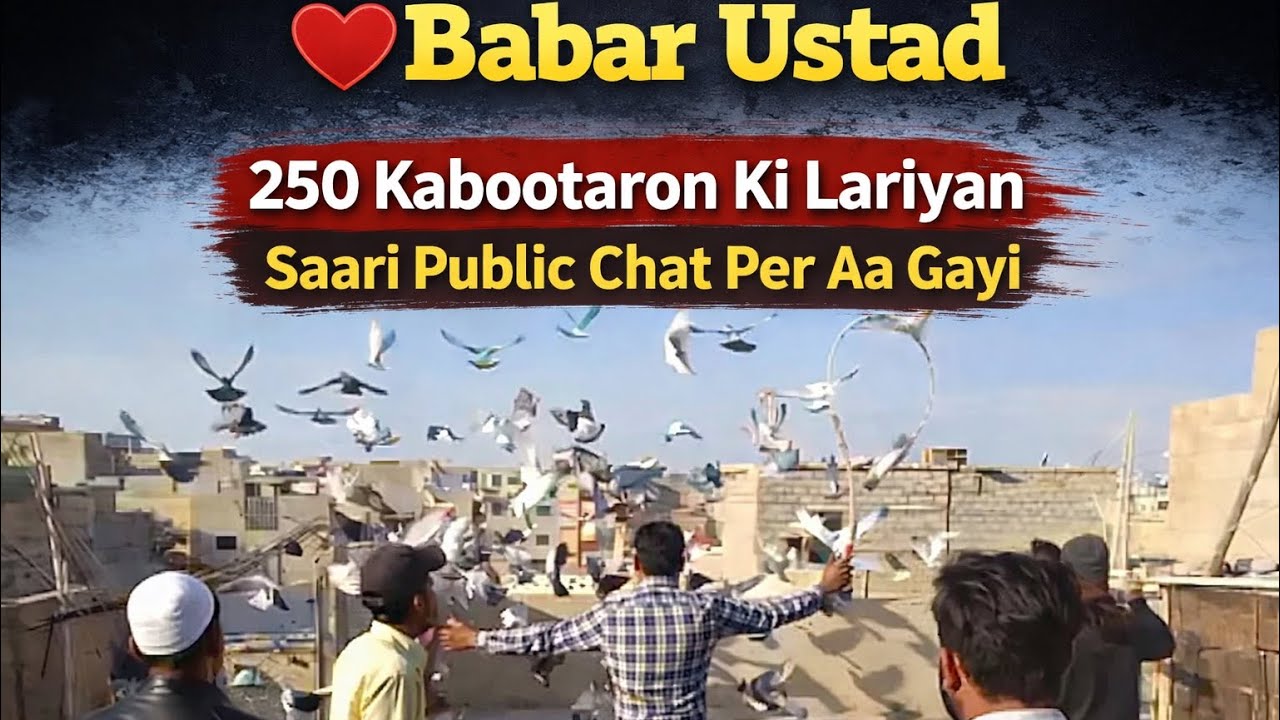 250 kabootro ka shok ❤️ Laraiyaa || Public chat per 