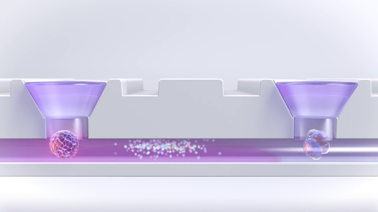 Multi-tissue organ networks in vitro | Akura&trade; Flow