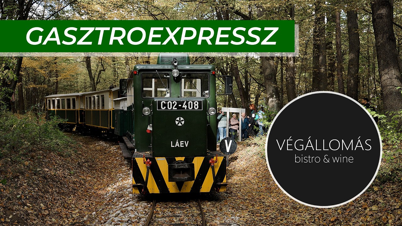 Gastroexpress - Vegallomas Bistro & Wine fusion (ENG)