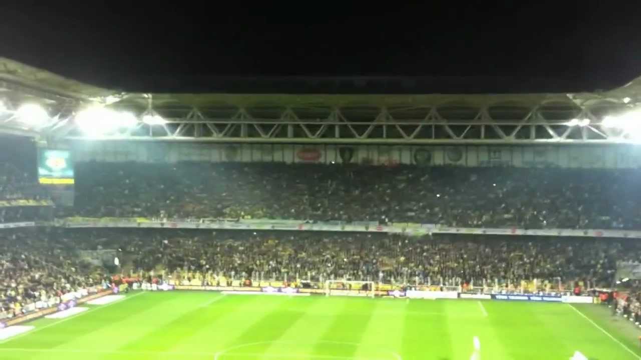 Alem biliyor adam degilsin