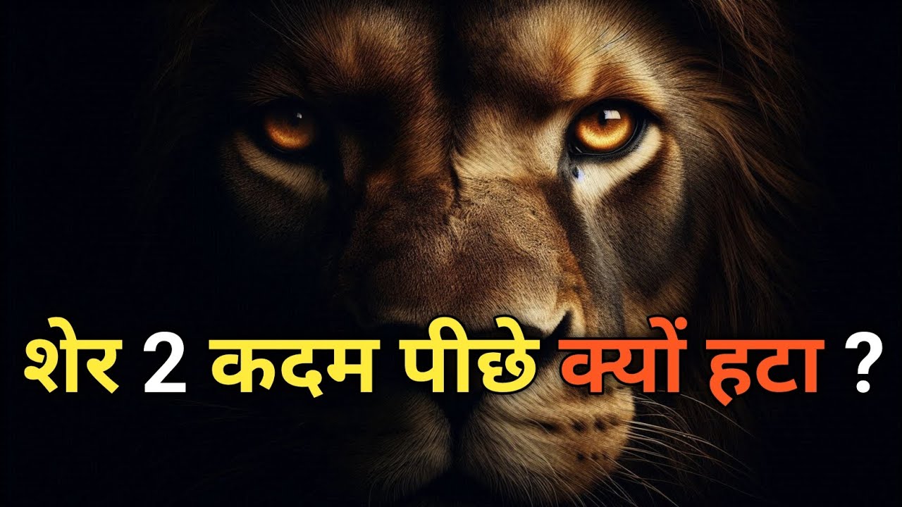 शेर पीछे क्यों चलता है ? सच्चाई जानकर दंग रह जाओगे! 🦁🔥