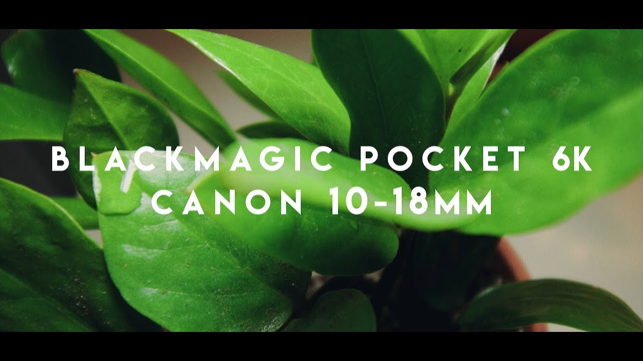 Объектив CANON 10-18MM IS STM | BMPCC 6K BRAW 5:1