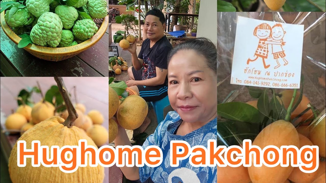 Hughome Pakchong FarmStay - ฮักโฮม ปากช่อง ฟาร์มสเตย์.   