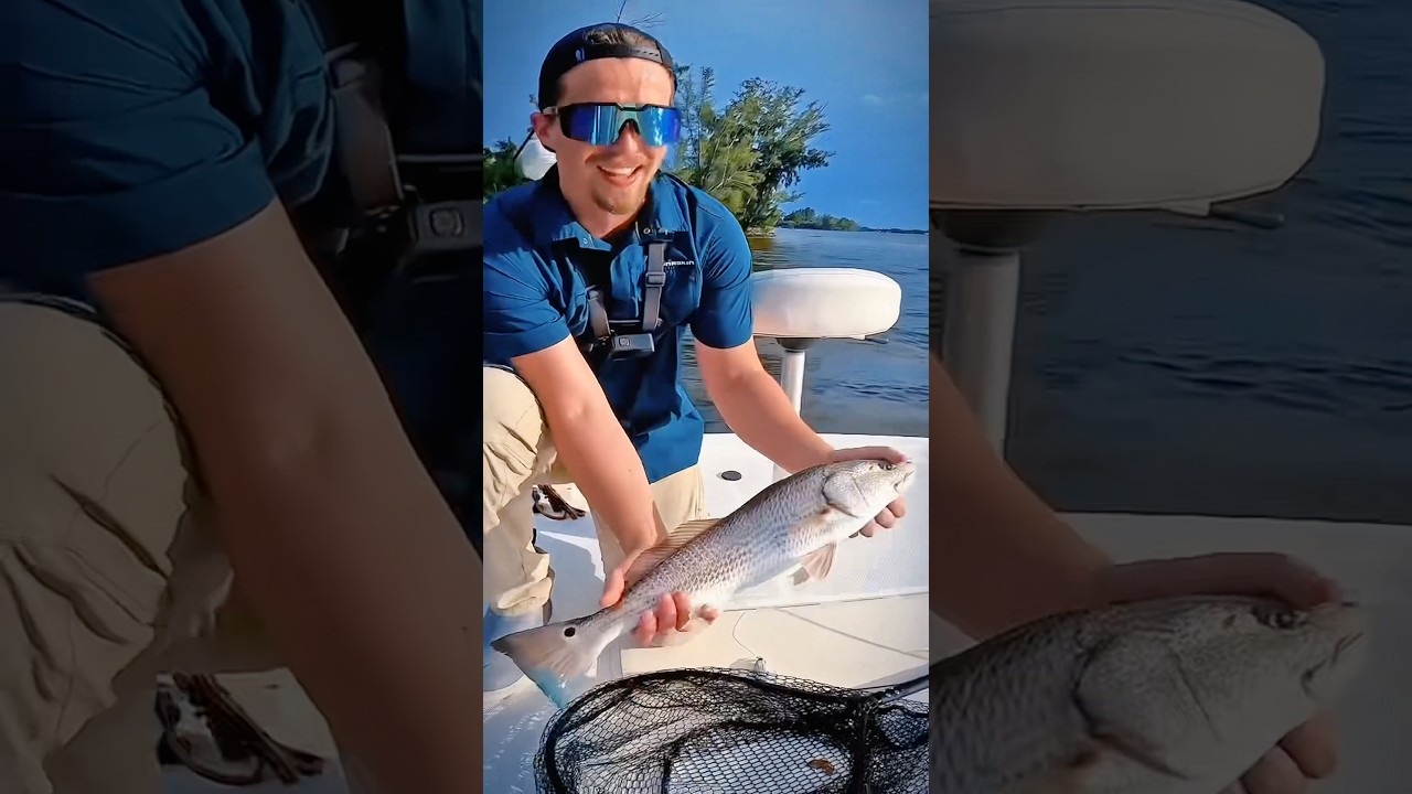 Slamming some Redfish and Sea Trout #inshorefishing #saltwaterfishing #fishing #floridafishing