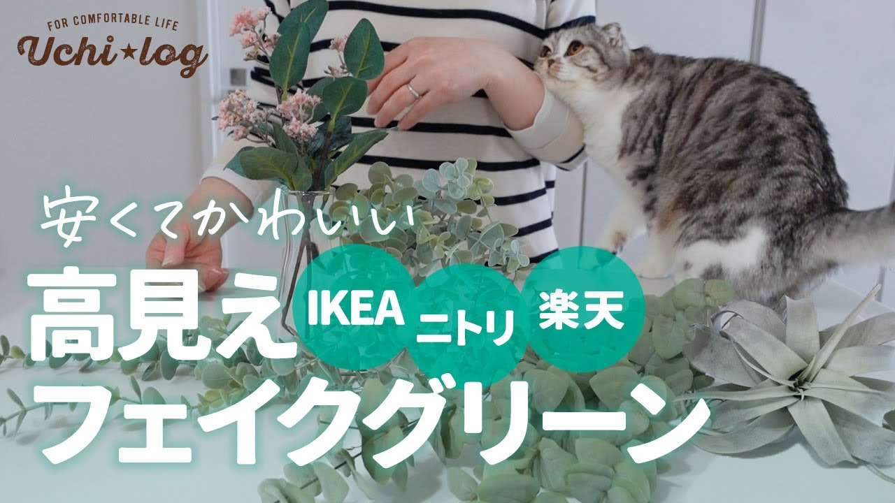 あると無いとじゃこんなに違う。インテリアを格上げする買ってよかったフェイクグリーン／ニトリ／IKEA／楽天／50代主婦