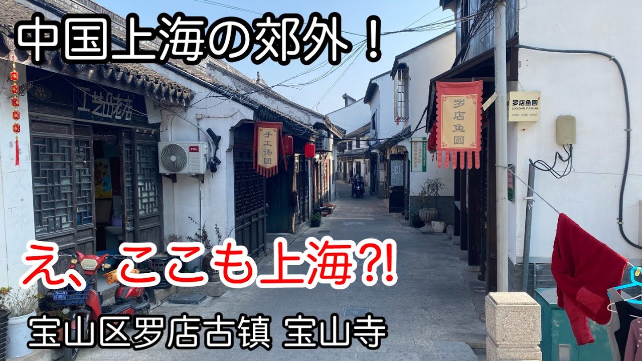 中国不動産未開発エリアに潜入 罗店古镇和宝山寺上海市宝山区2025年2月4日撮影