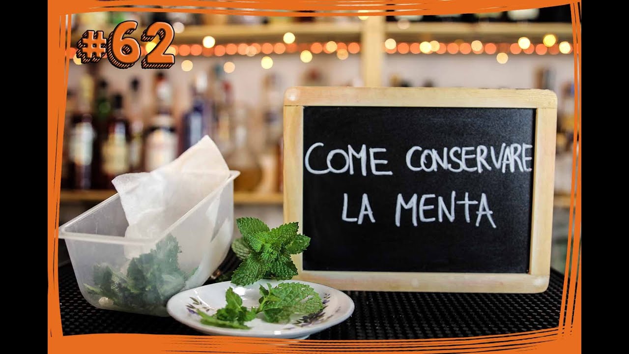 #62 ABC del Bartender - Un semplice TRUCCO per CONSERVARE LA MENTA a lungo - by Elia Calò