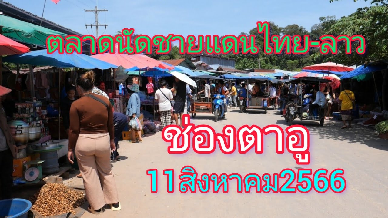 เห็ดปลวกแดงเยอะมาก!!บรรยากาศ#ตลาดนัด #ฝั่งลาว #ช่องตาอู คึกคักในช่วงนี้ #สาวลาว #เที่ยวลาวใต้