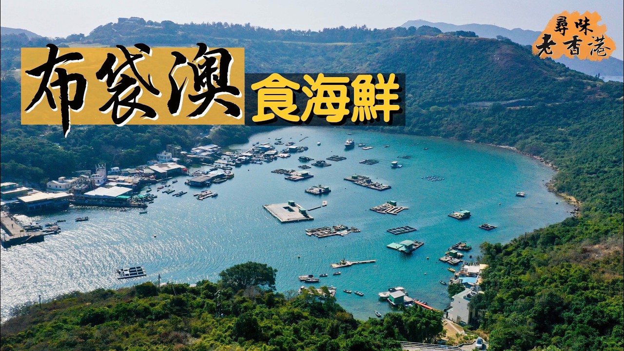 【鮮入為煮】布袋澳食海鮮｜只有兩間海鮮酒家的隱世「聖地」？｜晶瑩剔透墨魚刺身、魚翁蜆湯｜必試柴火石磨年糕！