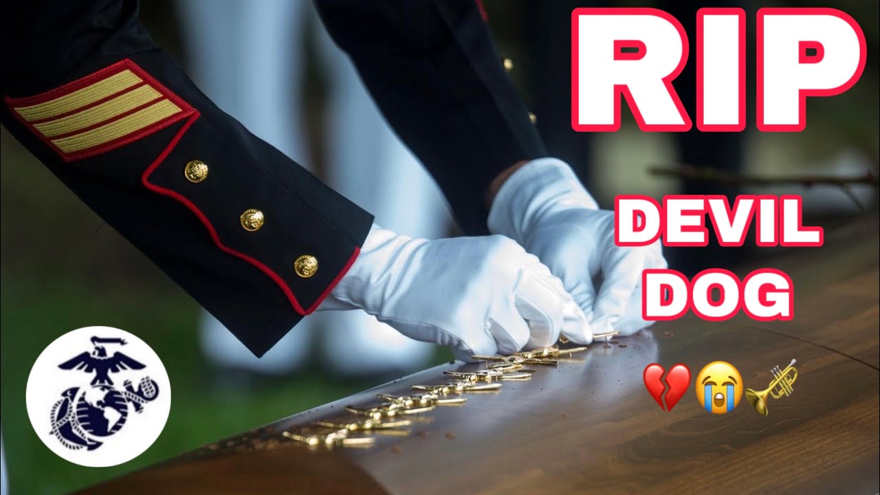 Final Salute, US Marine LCPL Richardo Ramirez. #tribute #usmc