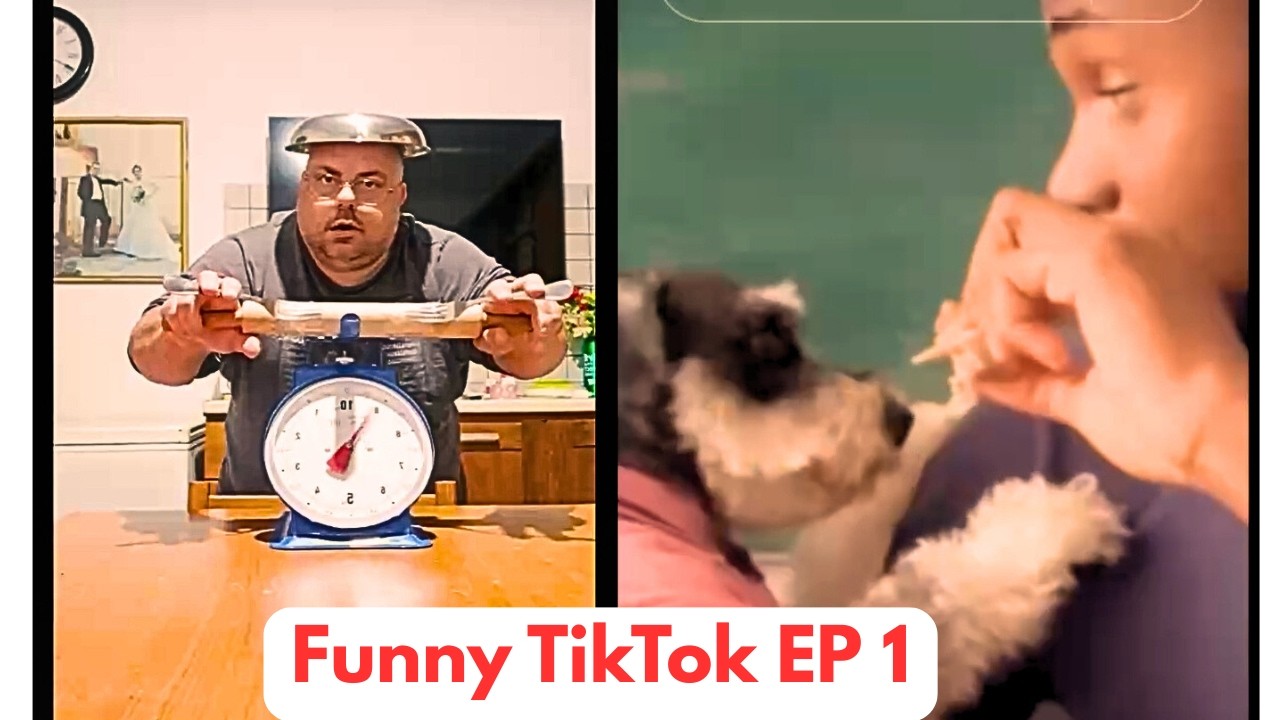 The Dog Was Feeling Guilty as Hell!!! Reaction Video Ep1