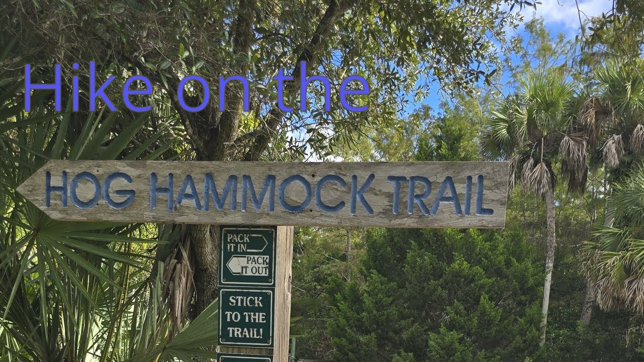 The Hog Hammock & Promontory Trail