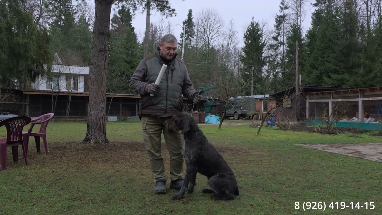 Апортировка. Исправление ошибок