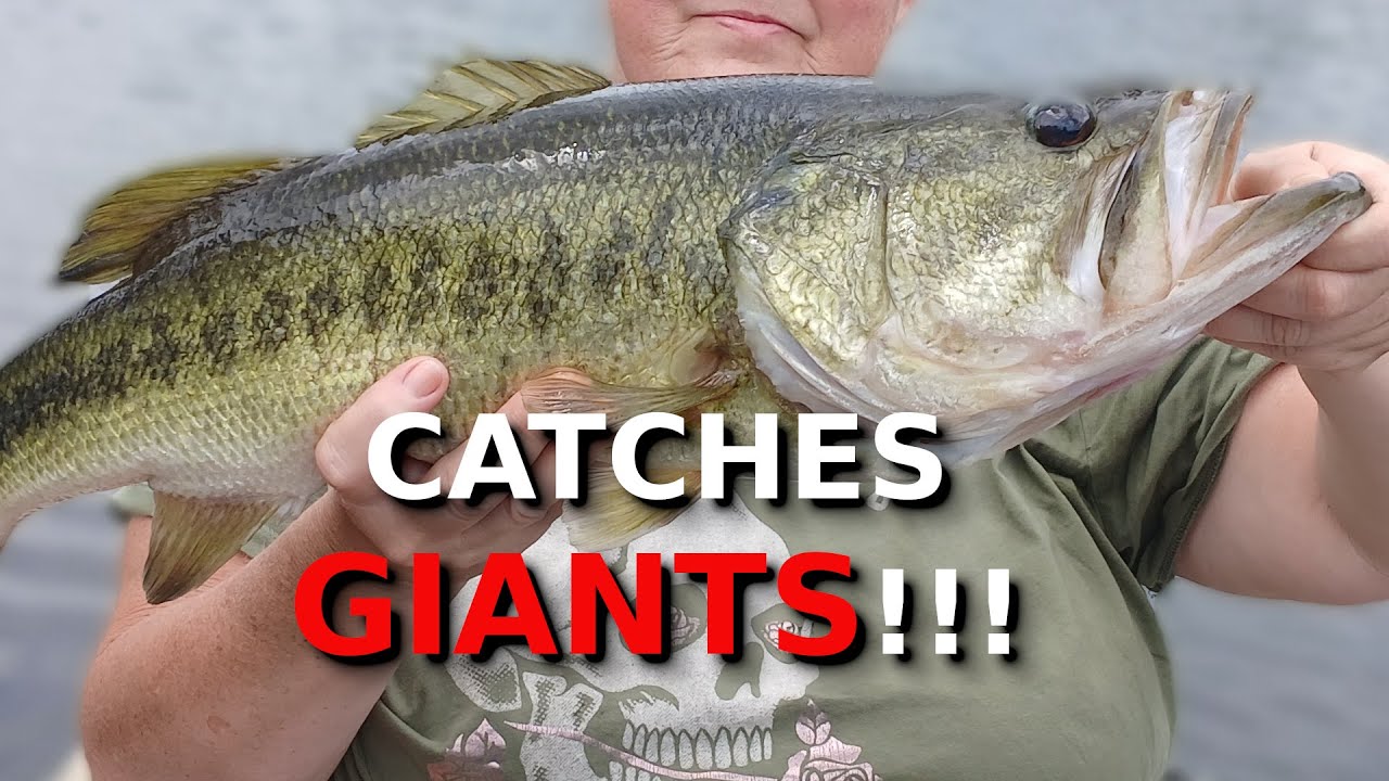 The BEST Finesse Rig You've NEVER Tried!!!! (GIANT Caught!!!!)