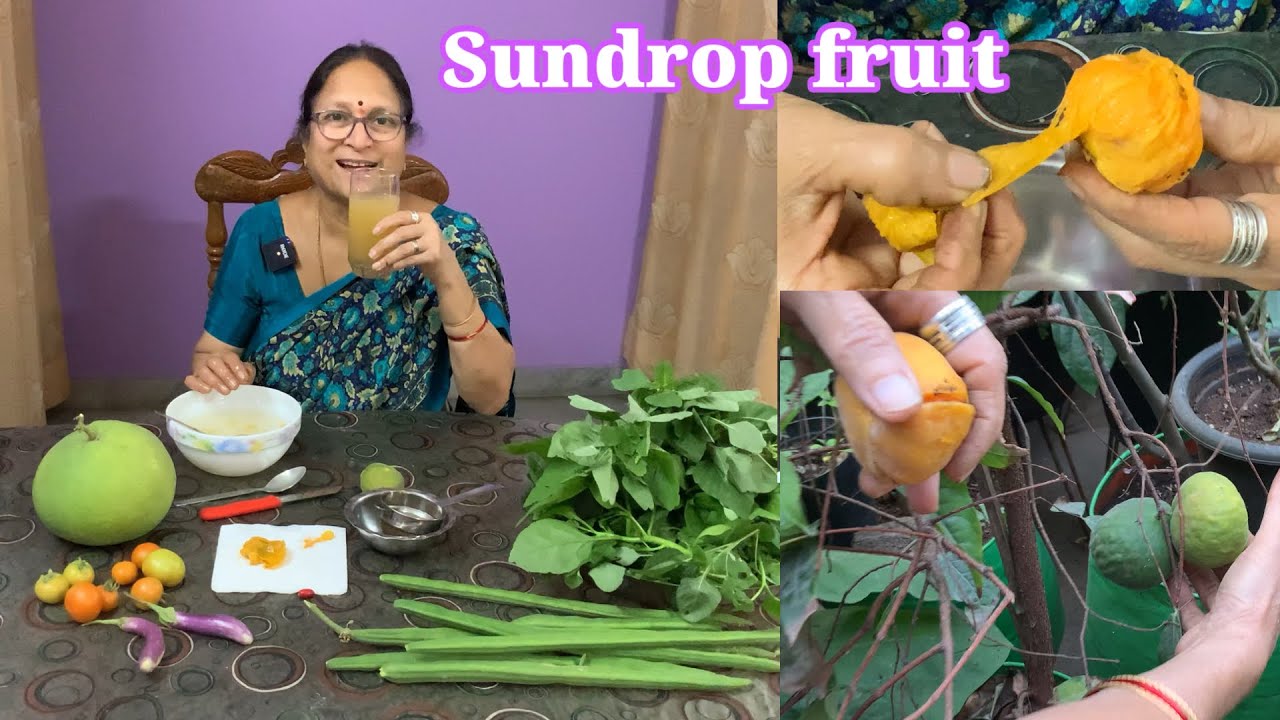 కబుర్లు చెప్పుకుంటూ కూరగాయలు కోసుకుందామా