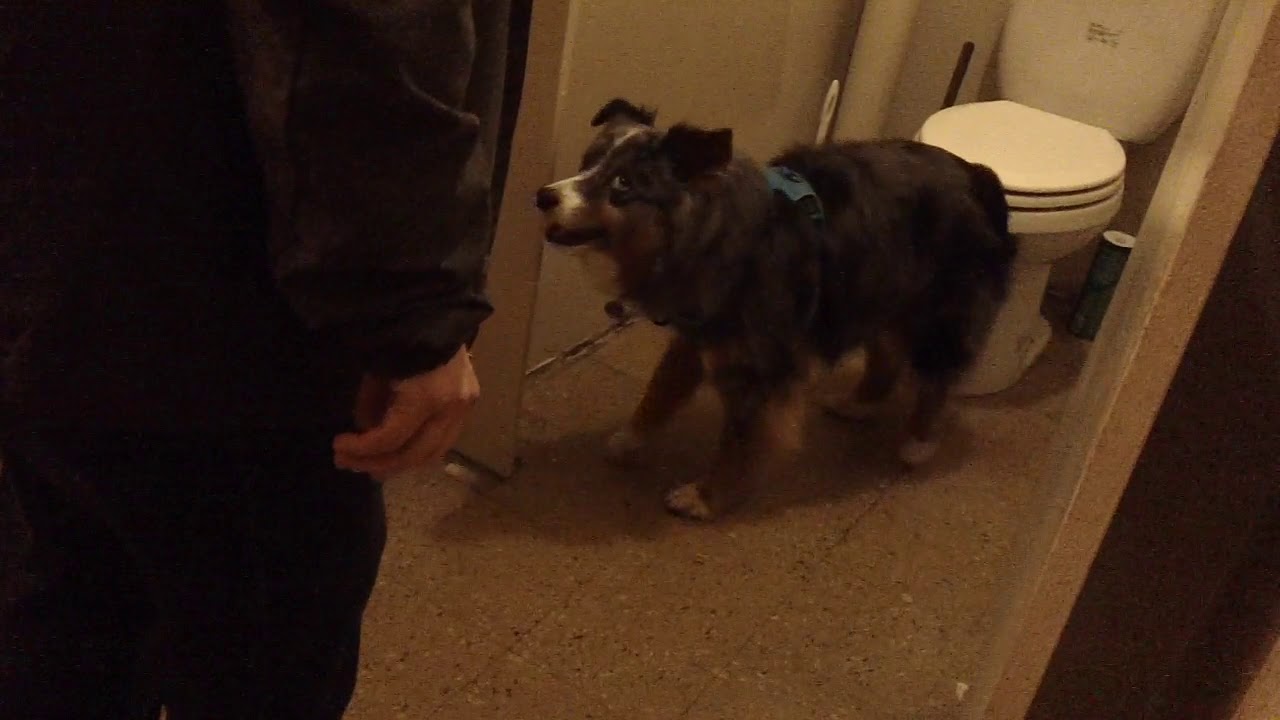 Rain Finds Bathroom, Side Room Hides