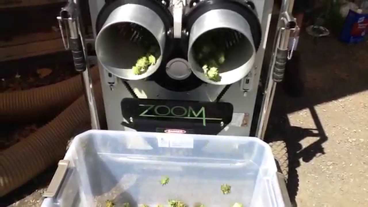 Zoom - Double Barrel Trimmer running in-door