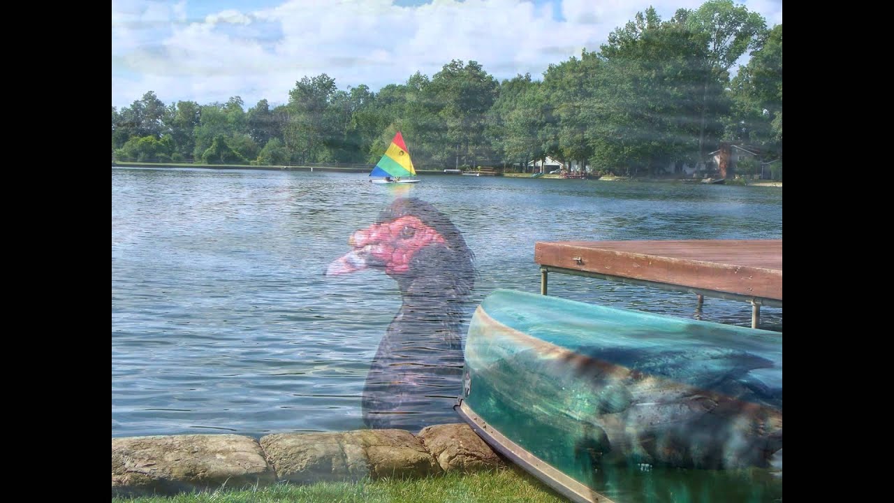 901 Shorewood Drive: Lake Scenery & Wildlife (2010-2014)