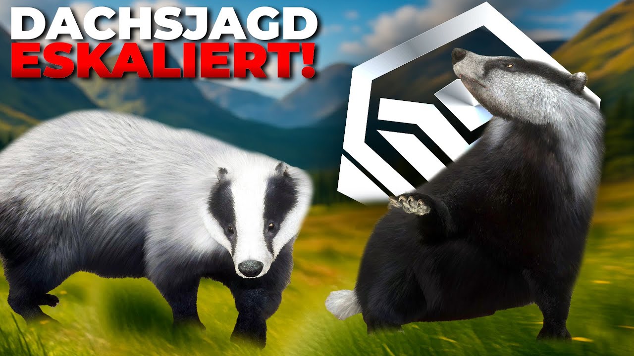 Das ERSTE MAL gezielt auf DACHSE und es eskaliert KOMPLETT.. 😱 thehunter COTW