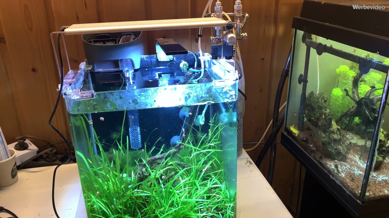 Oase BioStyle 75 Unboxing | Installation | 30l Cube