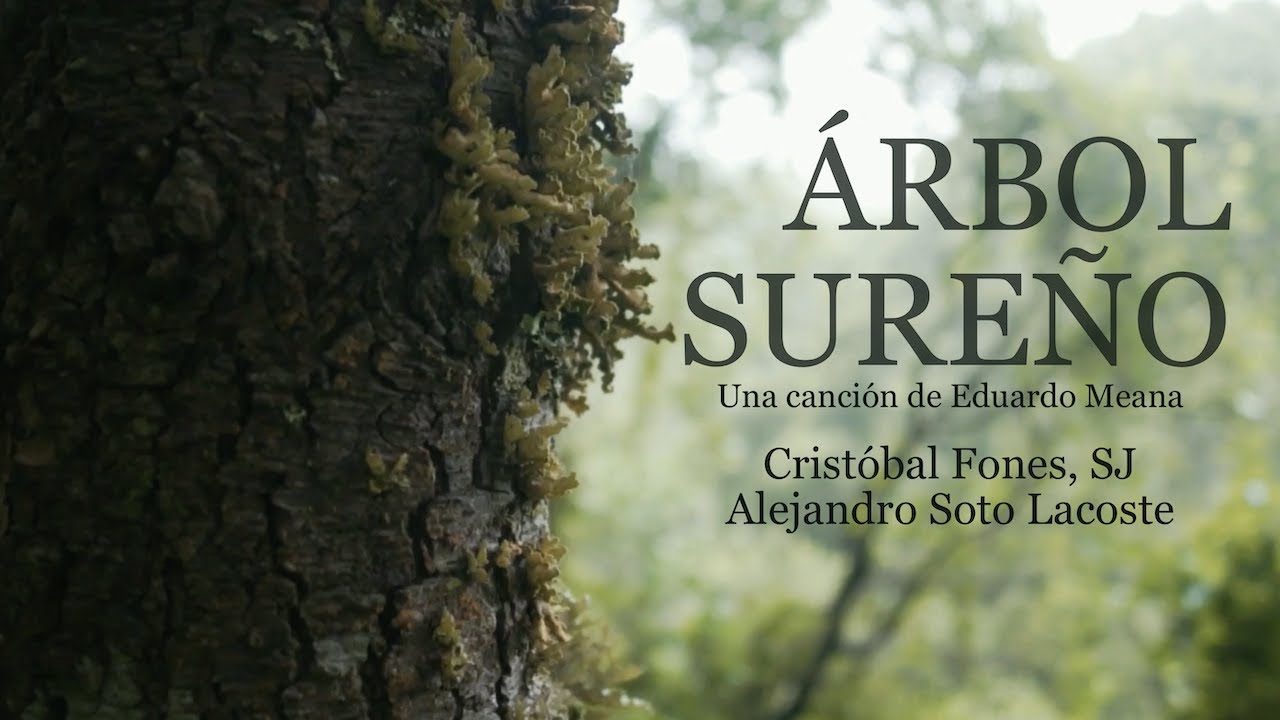 Arbol sureño | Cristóbal Fones, SJ - Alejandro Soto