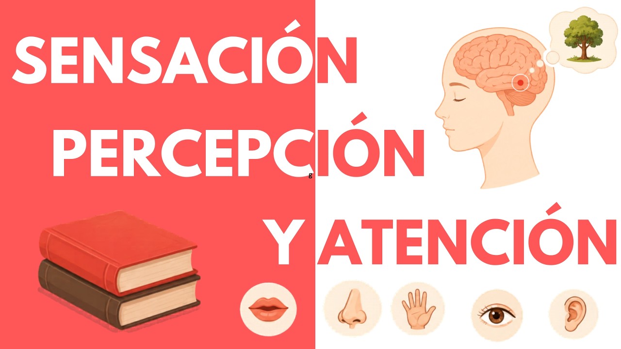 Sensación, percepción y atención | Resumen completo | Psicología en podcast