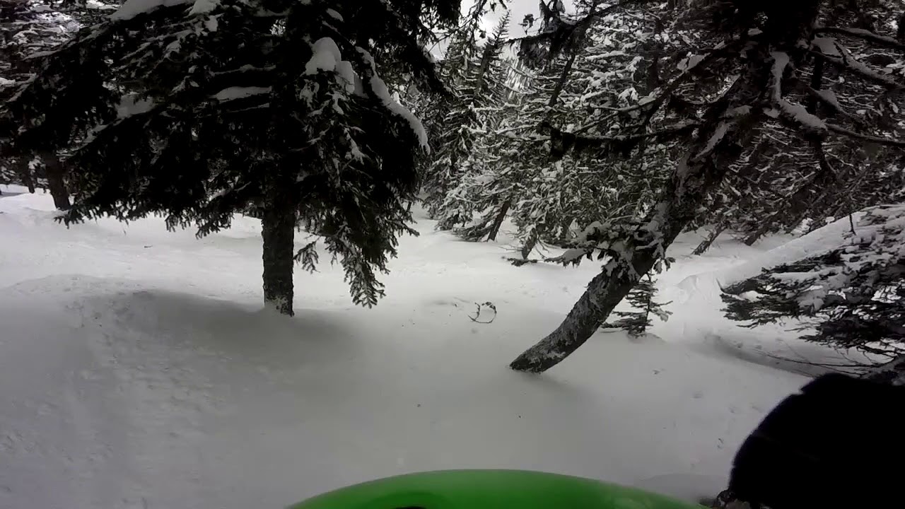 Fernie - Tree Skiing