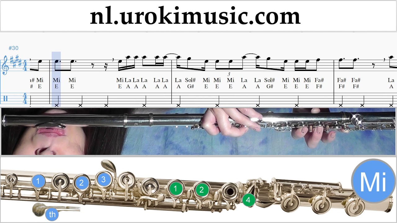 Fluitles Silvestre Dangond Nicky Jam - Cásate Conmigo Muzieknoten Cursus Deel#2 um-i374