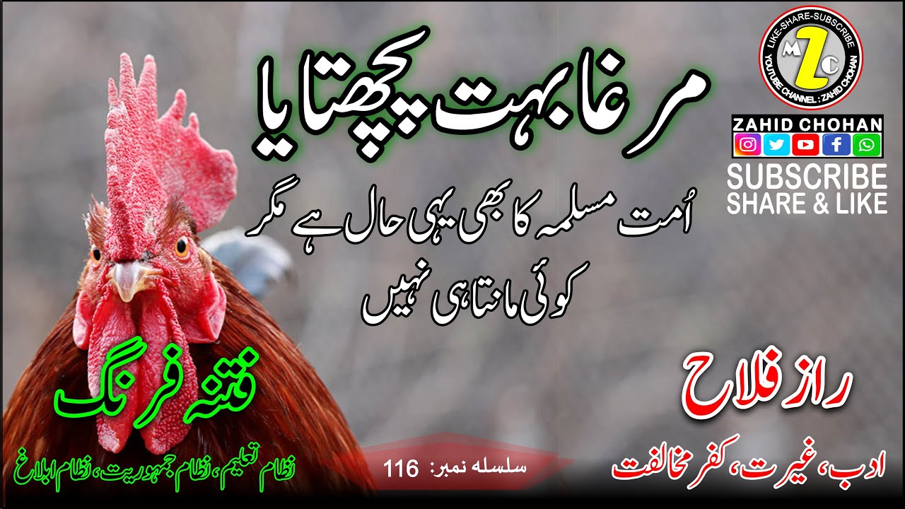 117 MURGHA BOHAT PACHTAIYA | مُرغا بہت پچھتایا | ZAHID CHOHAN