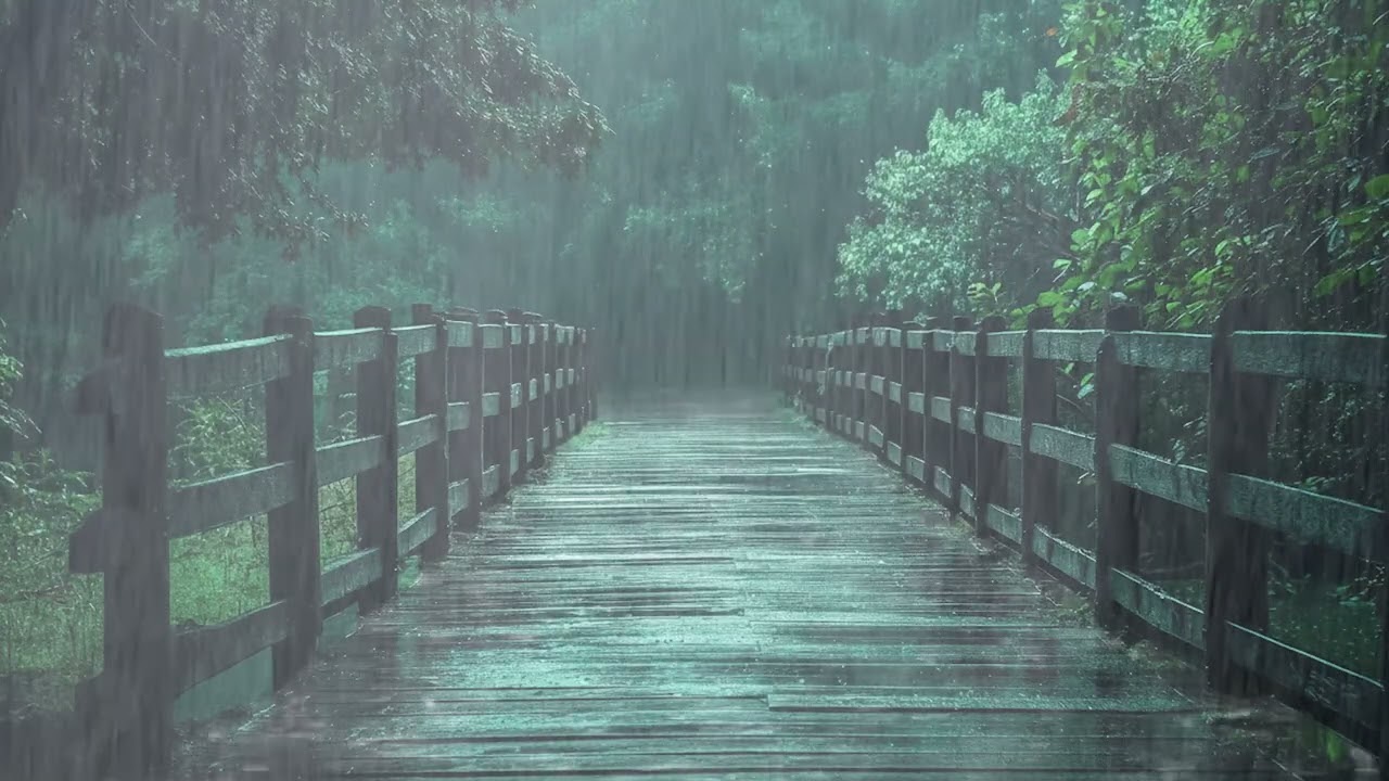 Say Goodbye to Insomnia with Night Rain Sounds, Fall Asleep in 10 Minutes, Deep Stress Relief Fast