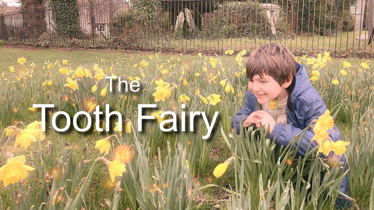 The Tooth Fairy