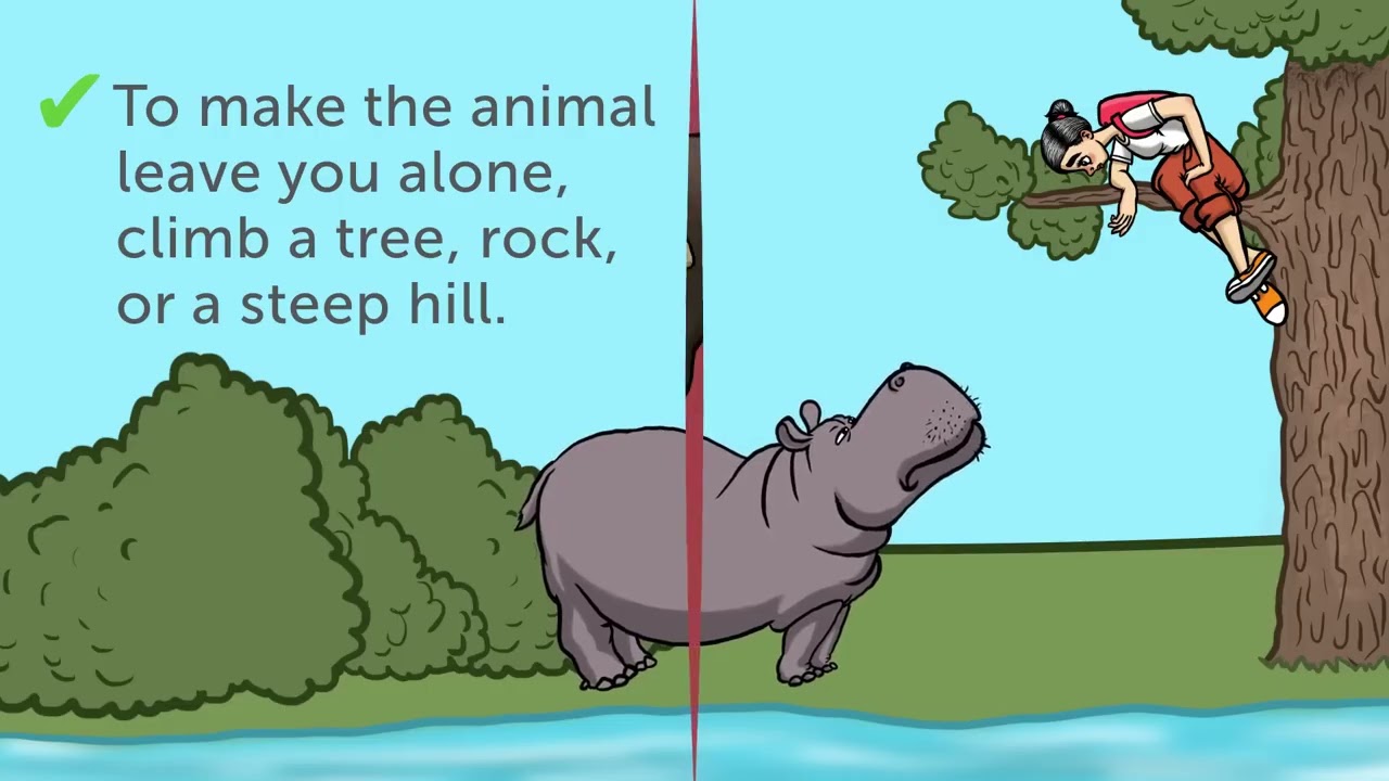 13 Tips on How to Survive Wild Animal Attacks