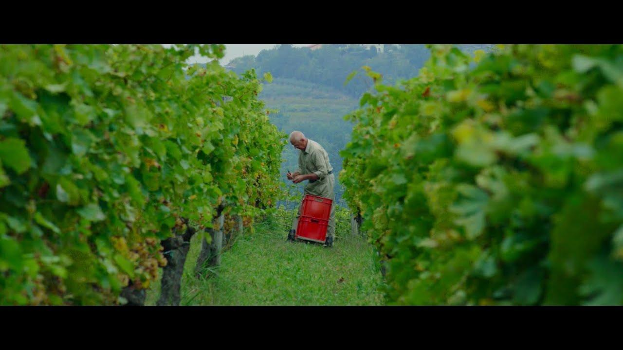 Josko Gravner - TUORLO MAGAZINE