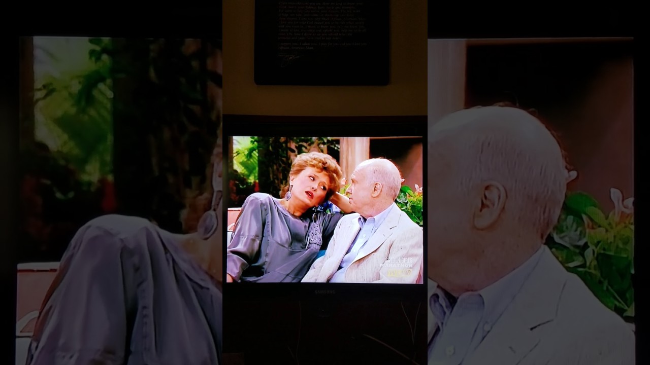 My life depicted as Eddie on The Golden Girl S:4;E14 