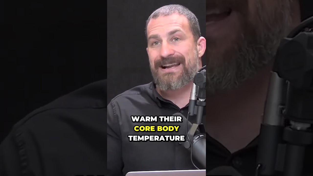 The Science of Heat: Hypothermia, Fever & How Our Bodies Fight Pathogens | Andrew Huberman