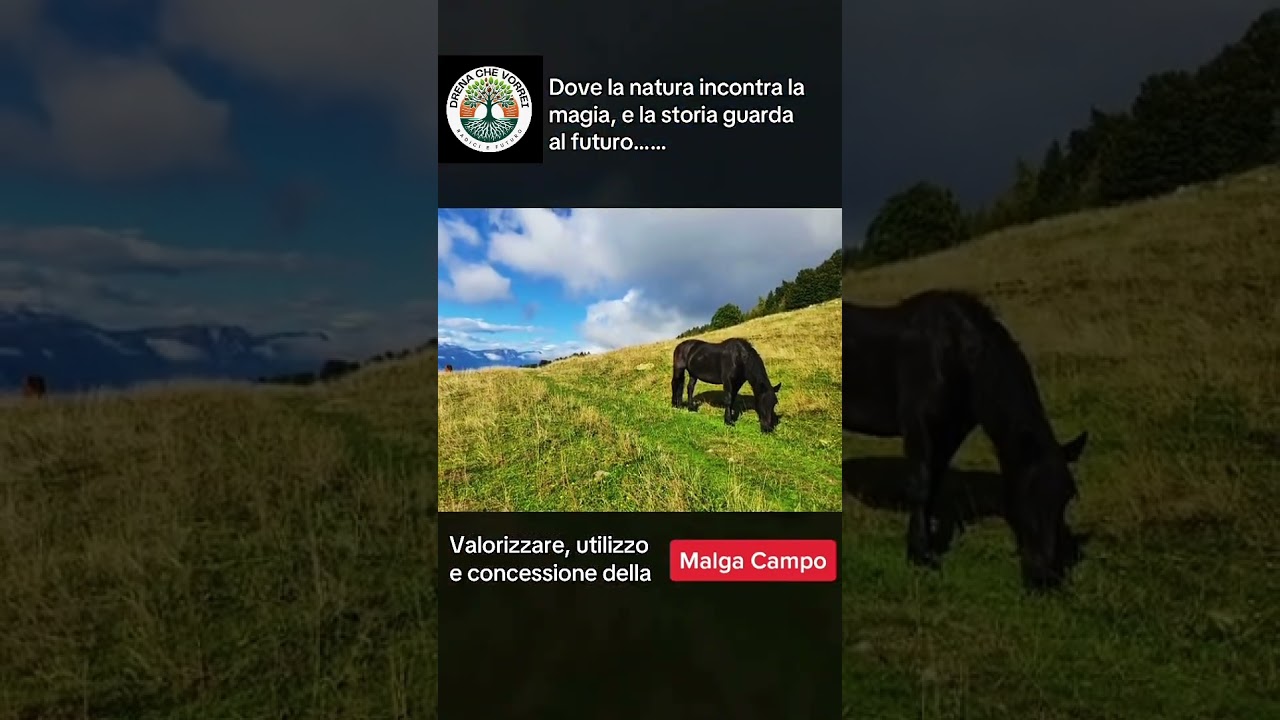 Valorizzare e concedere in utilizzo la Malga Campo di Drena una Vostra idea grazie!