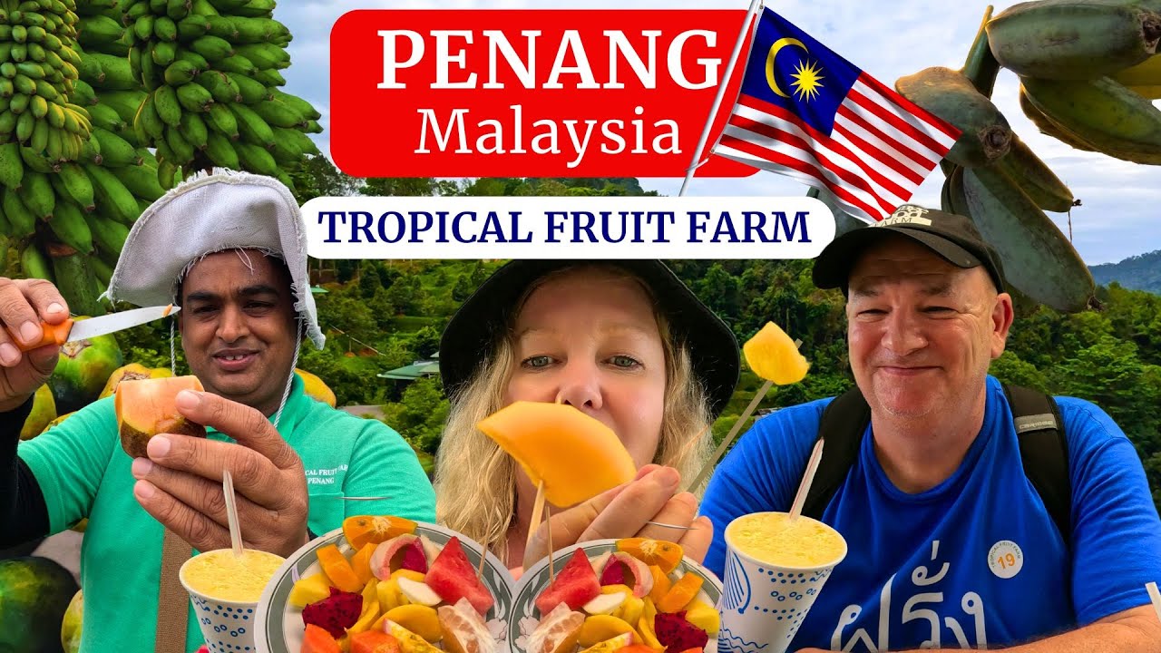 TROPICAL FRUIT FEAST 😋 Penang island ❤️ Best places to see 🏝️🇲🇾