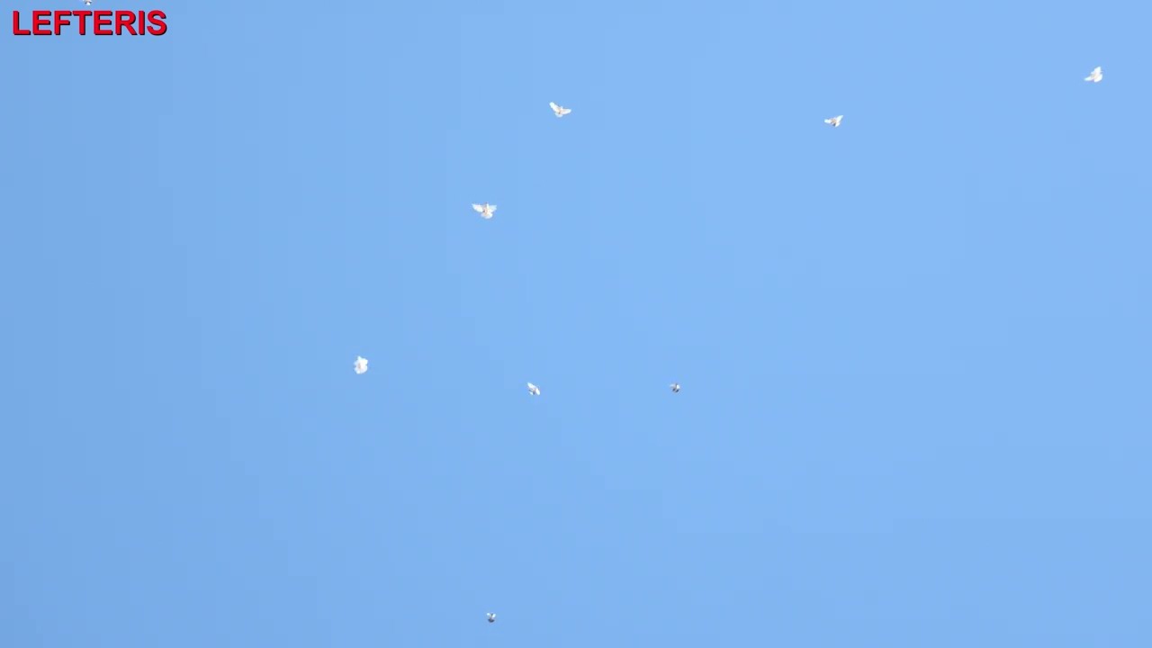 ΛΕΥΤΕΡΗΣ ΔΡΑΜΑ Η ΕΞΕΛΙΞΗ 14/3/2026