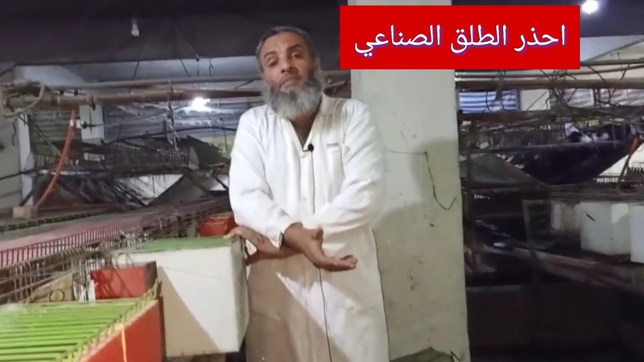 ارانب الخير انواع السقوط للرانب وشبه السقوط وعلاجه بمعلمه