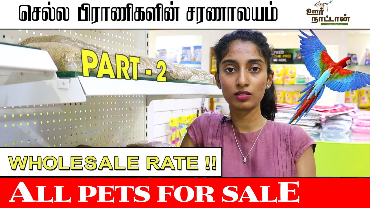 All Pets in one place ! || PART - 2 || செல்ல பிராணிகளின் சரணாலயம் || Exotic Birds || Oor Naattan