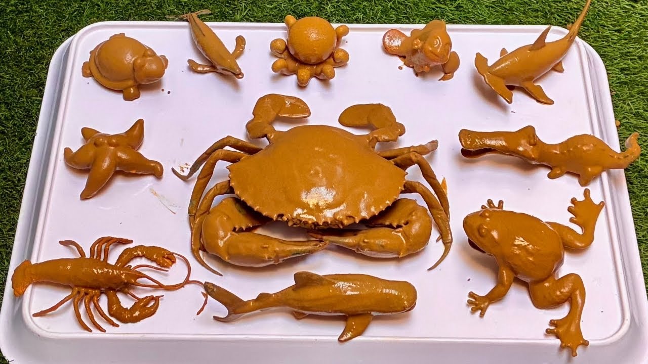 Epic Ocean Journey with the Biggest Crab and Fascinating Sea Animals for Kids