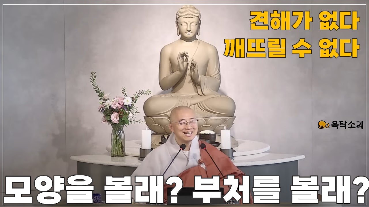 [돈오111] 불법엔 어떤 견해도 없다, 깨뜨려 없앨 수 없다, 모양을 볼래? 부처를 볼래?