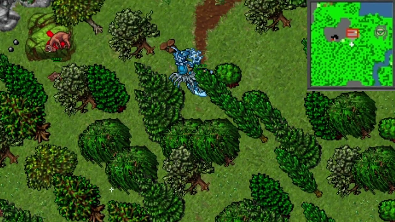 Itens encontrados na sala do NPC The Thaian!