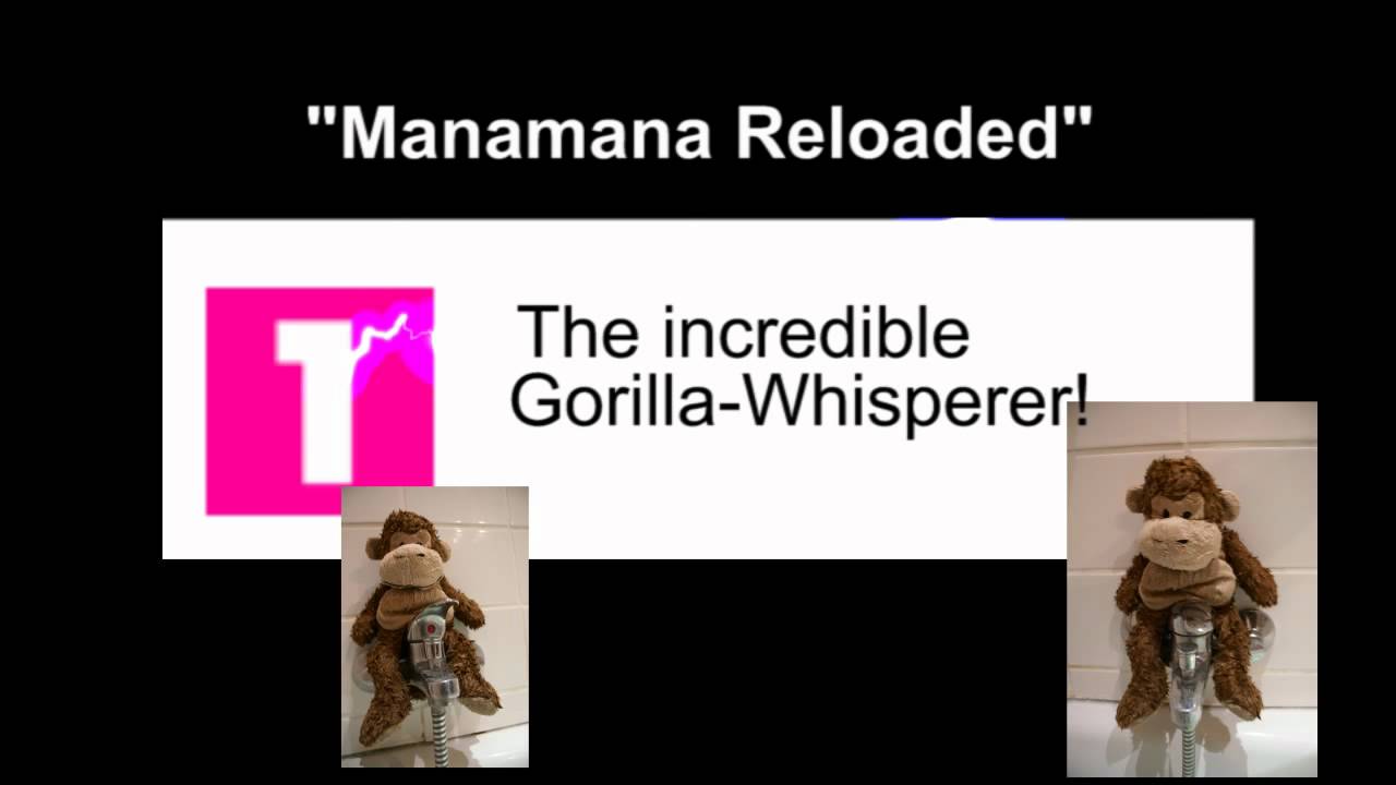 1LIVE O-Ton-Charts: Der Gorilla-Flüsterer-Manamana-Remix (2010)