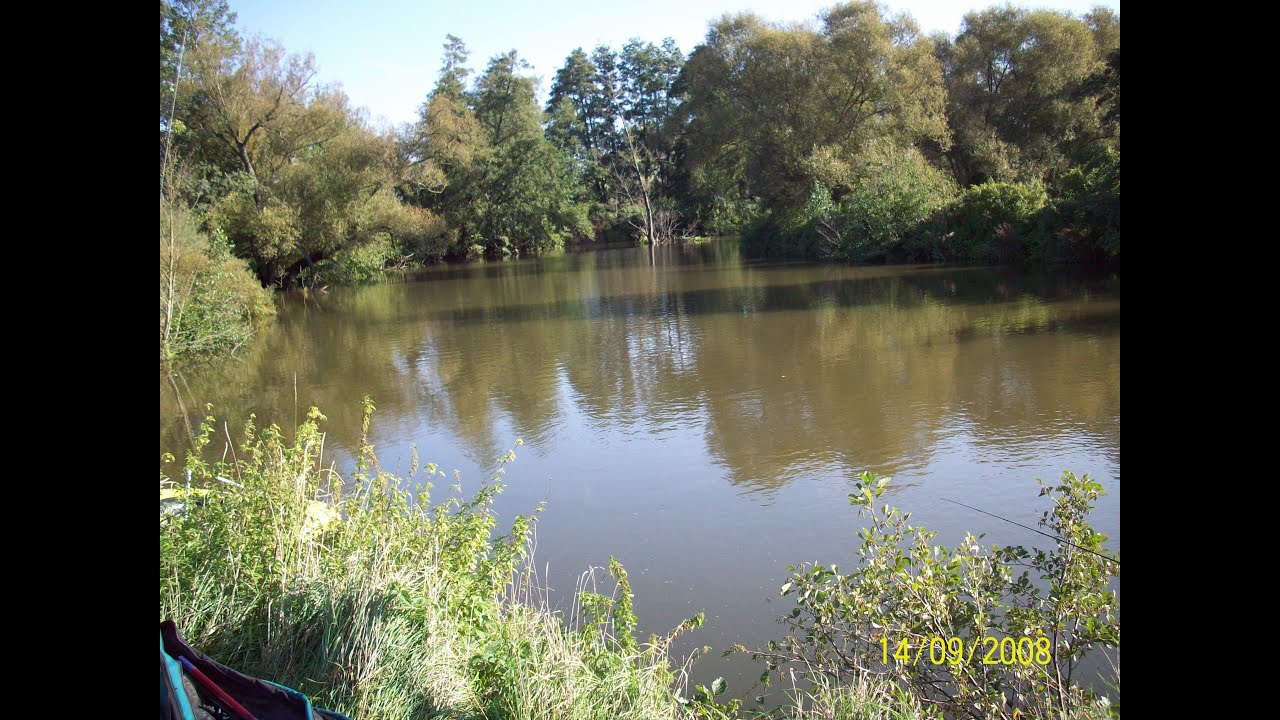 Waterwolf Neckar Nürtingen